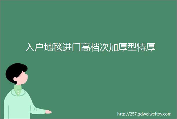 入户地毯进门高档次加厚型特厚